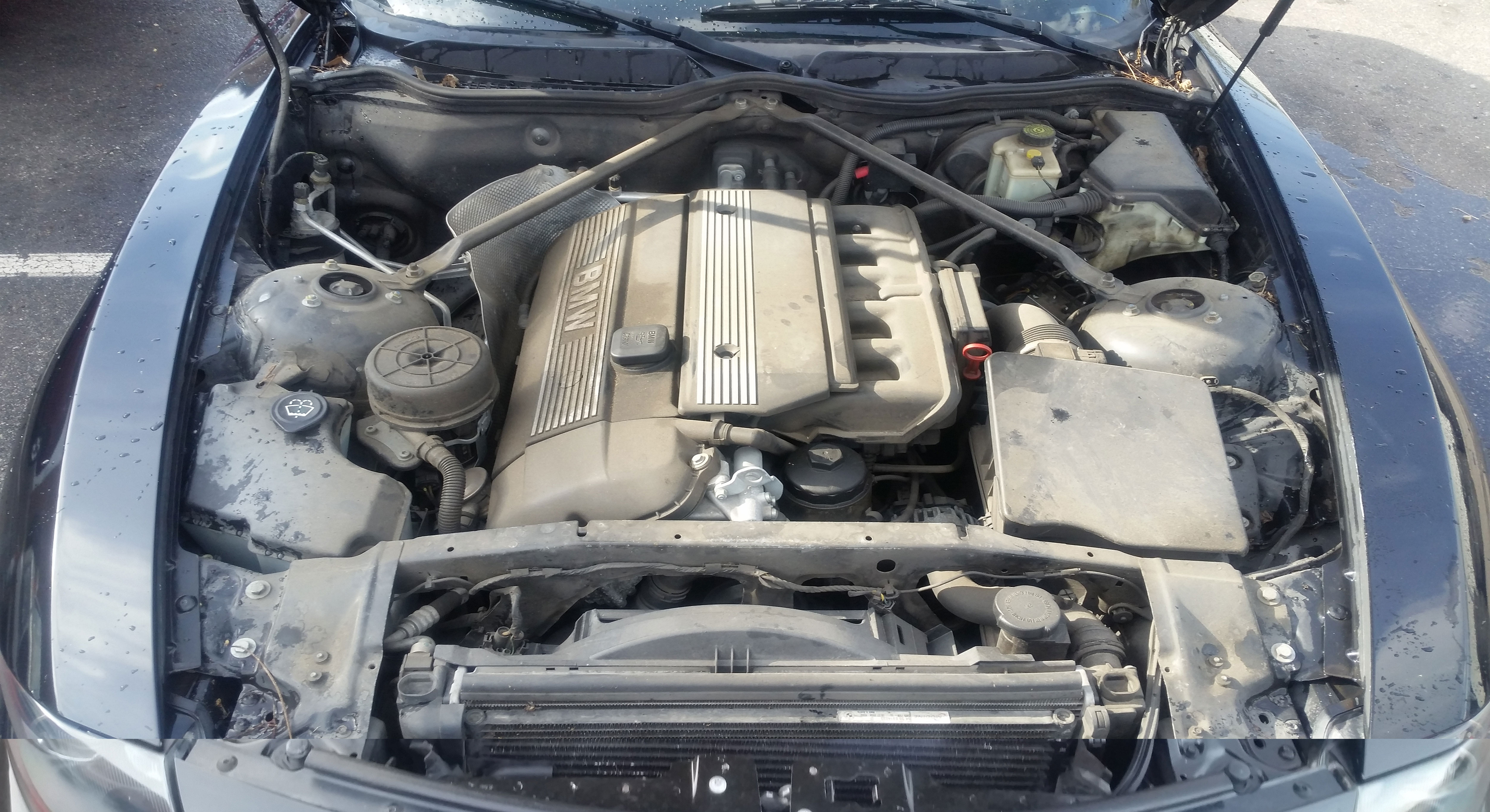 BMW engine bay cleaning and detailing in Chesapeake, Virginia — Before